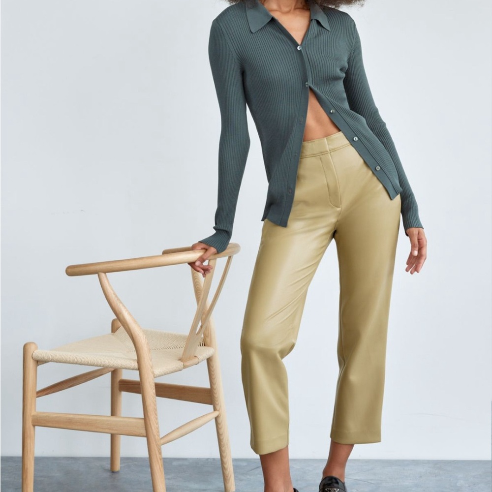 ARITZIA Babaton Faux Leather Trouser | Fall Trouser